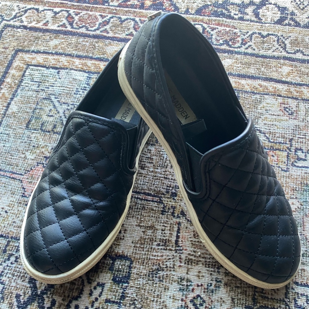 Steve Madden Women's Ecentrcq Sneaker